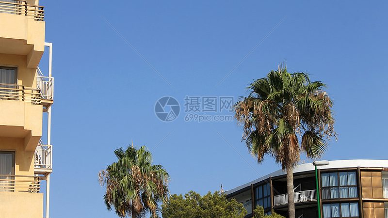上海周边冬令营，如何挑选性价比高的选择？**